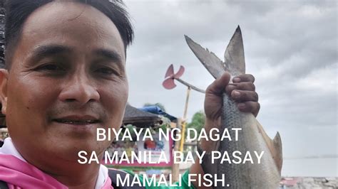 mamali fish|Today's Fishing Times for Mamali , Philippines.